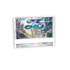 Ys VIII: Lacrimosa of DANA - Special Edition - Nintendo Switch™ 2